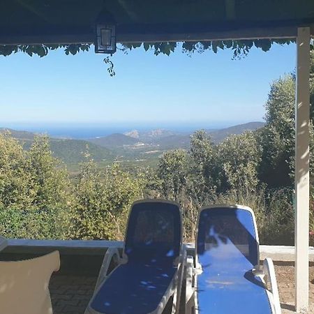Vos Vacances A Lama France Corse エクステリア 写真