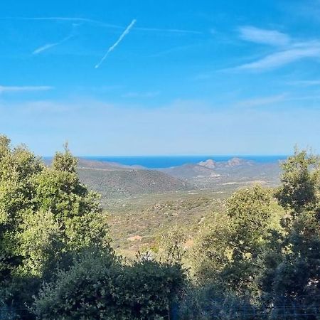 Vos Vacances A Lama France Corse エクステリア 写真
