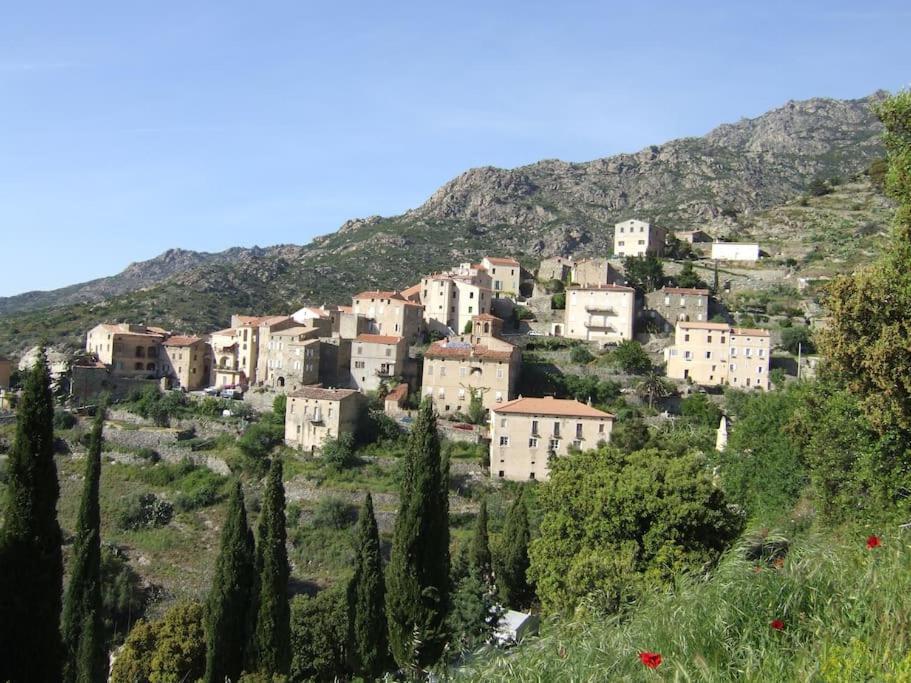 Vos Vacances A Lama France Corse エクステリア 写真