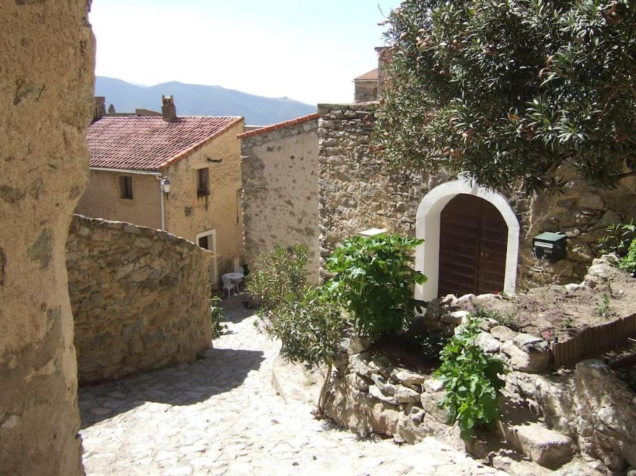 Vos Vacances A Lama France Corse エクステリア 写真