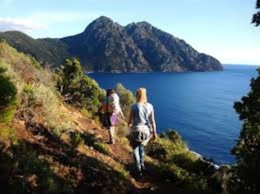 Vos Vacances A Lama France Corse エクステリア 写真