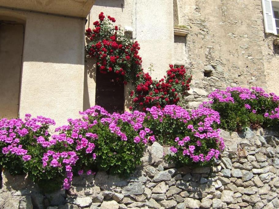 Vos Vacances A Lama France Corse エクステリア 写真