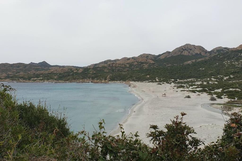 Vos Vacances A Lama France Corse エクステリア 写真