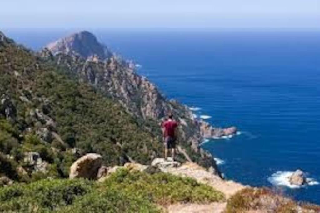 Vos Vacances A Lama France Corse エクステリア 写真