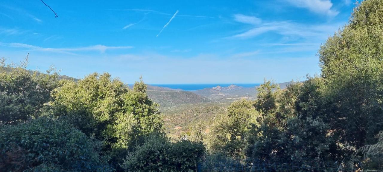 Vos Vacances A Lama France Corse エクステリア 写真